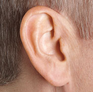 AMP ear